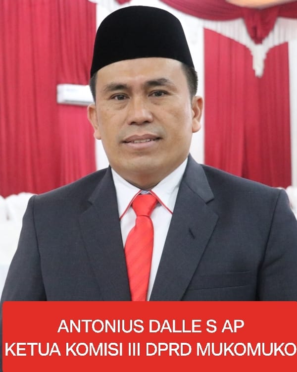 ANTONIUS DALLE S.AP